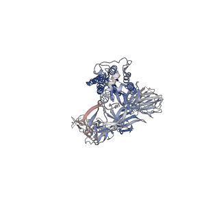 23400_7ljr_C_v1-0
SARS-CoV-2 Spike Protein Trimer bound to DH1043 fab