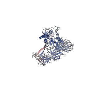 23400_7ljr_C_v1-1
SARS-CoV-2 Spike Protein Trimer bound to DH1043 fab