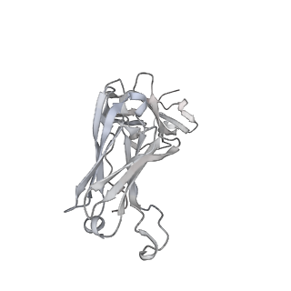 23400_7ljr_S_v1-1
SARS-CoV-2 Spike Protein Trimer bound to DH1043 fab