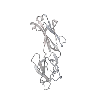 23400_7ljr_T_v1-1
SARS-CoV-2 Spike Protein Trimer bound to DH1043 fab