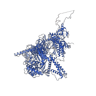 4055_5lj3_A_v1-5
Structure of the core of the yeast spliceosome immediately after branching