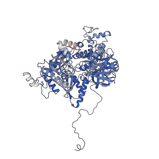 4055_5lj3_C_v1-5
Structure of the core of the yeast spliceosome immediately after branching