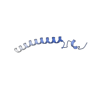 4055_5lj3_F_v1-5
Structure of the core of the yeast spliceosome immediately after branching