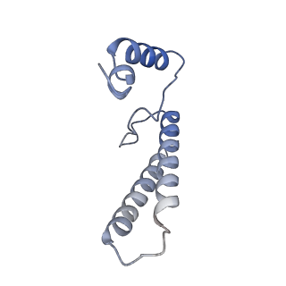4055_5lj3_G_v1-5
Structure of the core of the yeast spliceosome immediately after branching