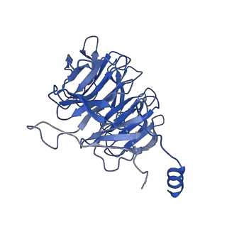 4055_5lj3_J_v1-5
Structure of the core of the yeast spliceosome immediately after branching