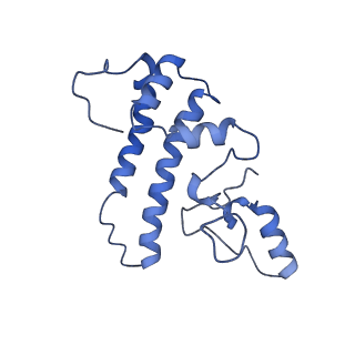 4055_5lj3_L_v1-5
Structure of the core of the yeast spliceosome immediately after branching