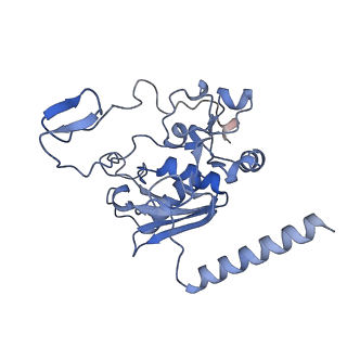 4055_5lj3_M_v1-5
Structure of the core of the yeast spliceosome immediately after branching