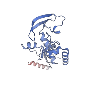 4055_5lj3_N_v1-5
Structure of the core of the yeast spliceosome immediately after branching