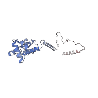 4055_5lj3_O_v1-5
Structure of the core of the yeast spliceosome immediately after branching