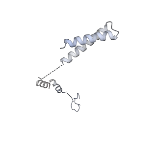 4055_5lj3_R_v1-5
Structure of the core of the yeast spliceosome immediately after branching