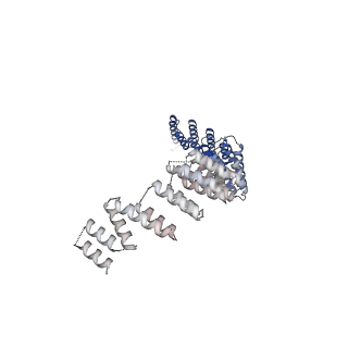 4055_5lj3_S_v1-5
Structure of the core of the yeast spliceosome immediately after branching