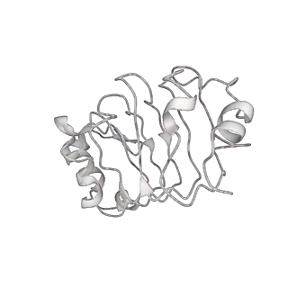 4055_5lj3_W_v1-5
Structure of the core of the yeast spliceosome immediately after branching
