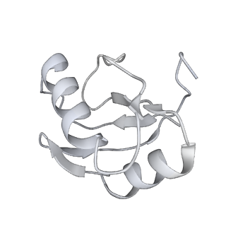 4055_5lj3_Y_v1-5
Structure of the core of the yeast spliceosome immediately after branching
