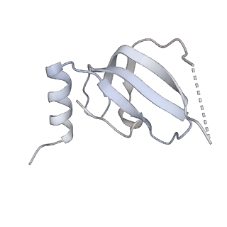 4055_5lj3_e_v1-5
Structure of the core of the yeast spliceosome immediately after branching