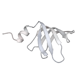 4055_5lj3_f_v1-5
Structure of the core of the yeast spliceosome immediately after branching