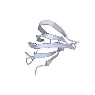 4055_5lj3_g_v1-5
Structure of the core of the yeast spliceosome immediately after branching