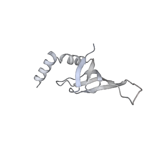 4055_5lj3_j_v1-5
Structure of the core of the yeast spliceosome immediately after branching