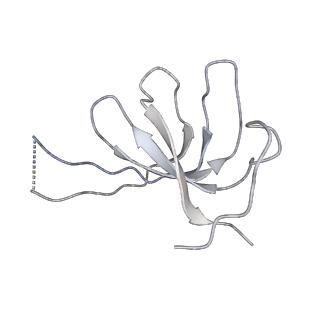 4055_5lj3_k_v1-5
Structure of the core of the yeast spliceosome immediately after branching
