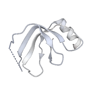 4055_5lj3_p_v1-5
Structure of the core of the yeast spliceosome immediately after branching