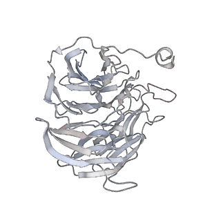 4061_5ljo_B_v1-2
E. coli BAM complex (BamABCDE) by cryoEM