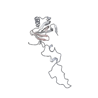 4061_5ljo_C_v1-2
E. coli BAM complex (BamABCDE) by cryoEM
