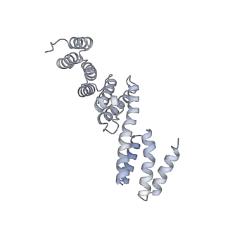 4061_5ljo_D_v1-2
E. coli BAM complex (BamABCDE) by cryoEM