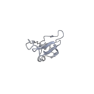4061_5ljo_E_v1-2
E. coli BAM complex (BamABCDE) by cryoEM