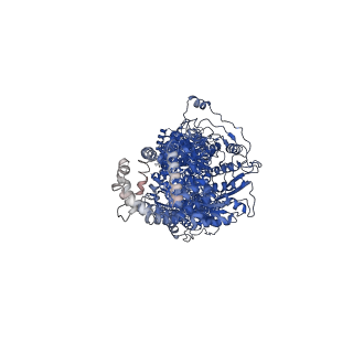 23409_7lkp_A_v1-0
Structure of ATP-free human ABCA4