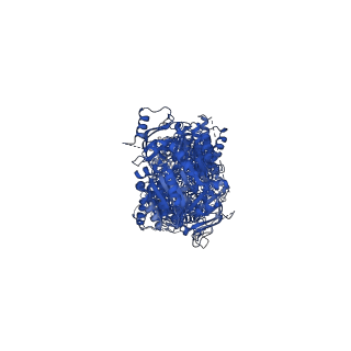 23410_7lkz_A_v1-0
Structure of ATP-bound human ABCA4