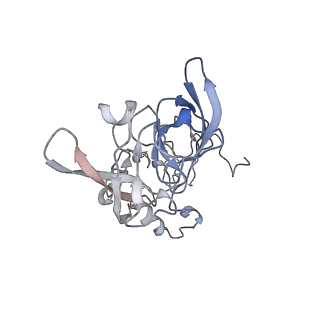 4070_5lks_LA_v1-2
Structure-function insights reveal the human ribosome as a cancer target for antibiotics