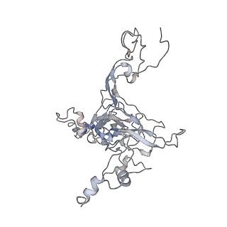 4070_5lks_LB_v1-2
Structure-function insights reveal the human ribosome as a cancer target for antibiotics