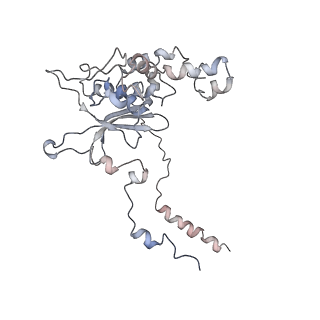 4070_5lks_LD_v1-2
Structure-function insights reveal the human ribosome as a cancer target for antibiotics