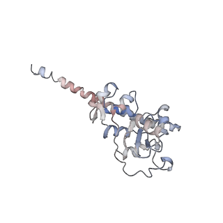 4070_5lks_LF_v1-2
Structure-function insights reveal the human ribosome as a cancer target for antibiotics
