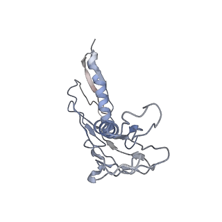 4070_5lks_LH_v1-2
Structure-function insights reveal the human ribosome as a cancer target for antibiotics