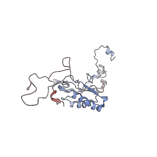 4070_5lks_LI_v1-2
Structure-function insights reveal the human ribosome as a cancer target for antibiotics