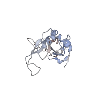 4070_5lks_LJ_v1-2
Structure-function insights reveal the human ribosome as a cancer target for antibiotics