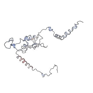 4070_5lks_LL_v1-2
Structure-function insights reveal the human ribosome as a cancer target for antibiotics