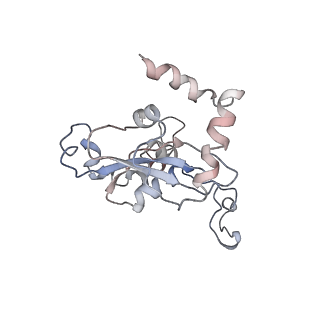 4070_5lks_LN_v1-2
Structure-function insights reveal the human ribosome as a cancer target for antibiotics
