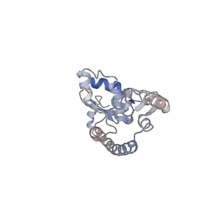 4070_5lks_LO_v1-2
Structure-function insights reveal the human ribosome as a cancer target for antibiotics