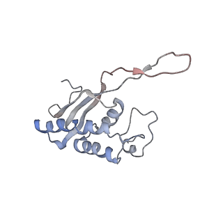 4070_5lks_LP_v1-2
Structure-function insights reveal the human ribosome as a cancer target for antibiotics