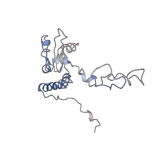4070_5lks_LQ_v1-2
Structure-function insights reveal the human ribosome as a cancer target for antibiotics