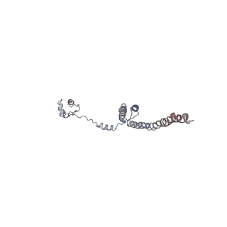 4070_5lks_LR_v1-2
Structure-function insights reveal the human ribosome as a cancer target for antibiotics
