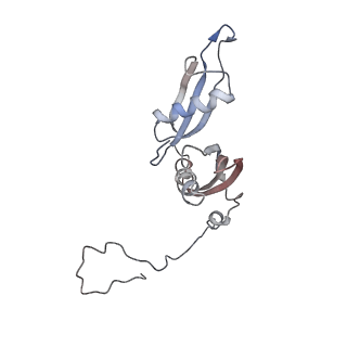 4070_5lks_LS_v1-2
Structure-function insights reveal the human ribosome as a cancer target for antibiotics