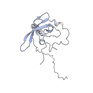 4070_5lks_LT_v1-2
Structure-function insights reveal the human ribosome as a cancer target for antibiotics