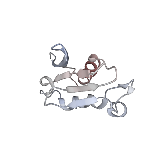 4070_5lks_LU_v1-2
Structure-function insights reveal the human ribosome as a cancer target for antibiotics
