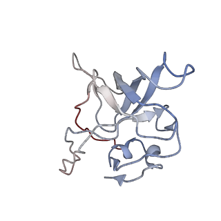 4070_5lks_LV_v1-2
Structure-function insights reveal the human ribosome as a cancer target for antibiotics