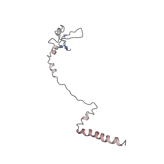 4070_5lks_LW_v1-2
Structure-function insights reveal the human ribosome as a cancer target for antibiotics