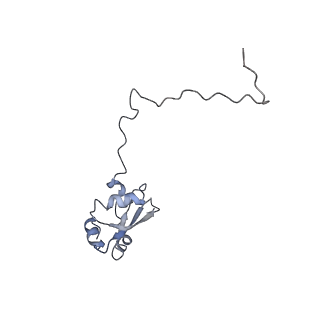 4070_5lks_LX_v1-2
Structure-function insights reveal the human ribosome as a cancer target for antibiotics