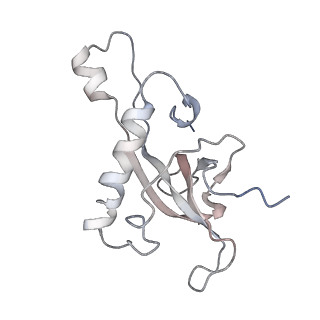 4070_5lks_LZ_v1-2
Structure-function insights reveal the human ribosome as a cancer target for antibiotics