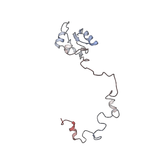 4070_5lks_La_v1-2
Structure-function insights reveal the human ribosome as a cancer target for antibiotics